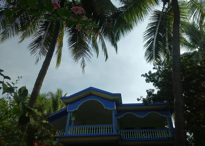 The Purple House