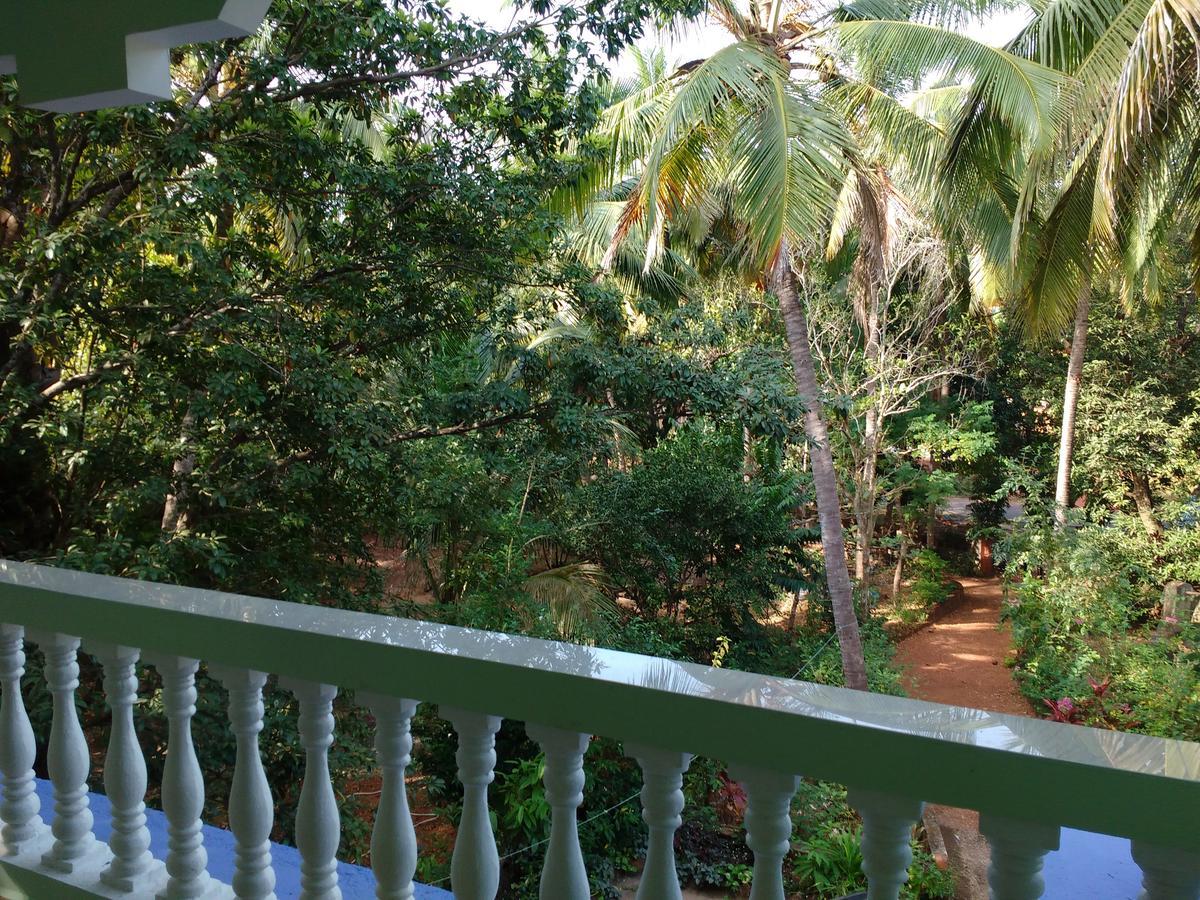 Guest house The Purple House Agonda